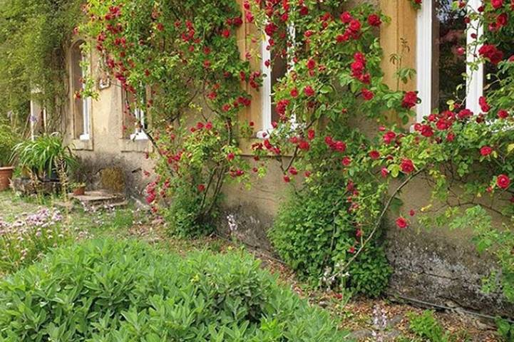 Gîte pour 3 personnes, animaux acceptés à Basse-Rentgen