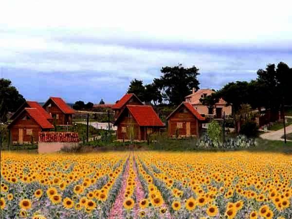 Casa rural para 2 personas, con Terraza además de Jardín y Vistas en Cardenete - 2