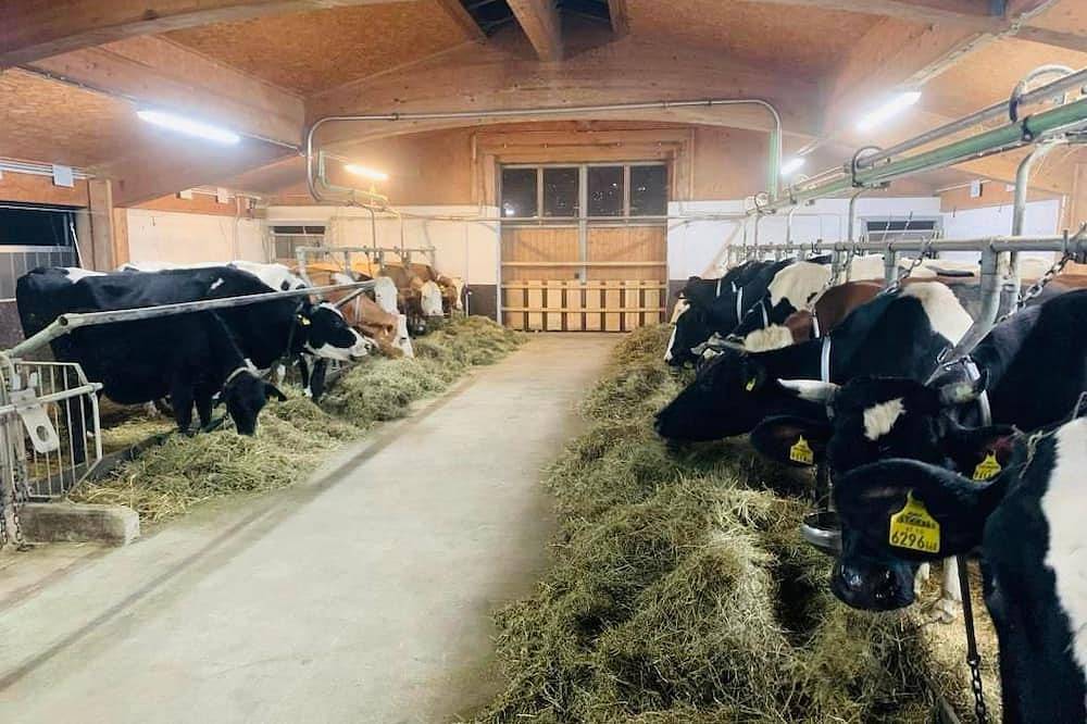 Apartamento entero, Sonnwendhof \"Kellerjochblick\" - Holiday apartment Kellerjochblick in Schwaz, Bezirk Schwaz