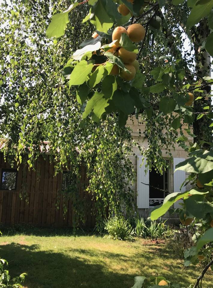 Gîte pour 2 personnes, avec jardin et terrasse à Niort - 2