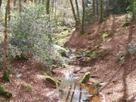 Location de vacances pour 8 personnes, avec jardin, animaux acceptés à Le Soulié - 2