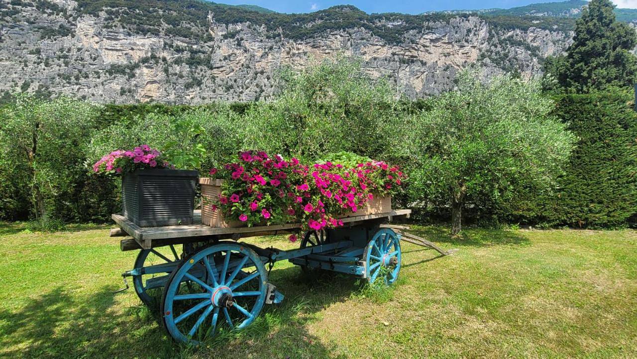 Agriturismo Vin e Amor in Dro, Gardasee-Berge