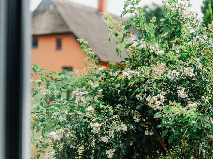 Ferienwohnung für 4 Personen, mit Terrasse und Garten sowie Sauna in Wustrow - 4