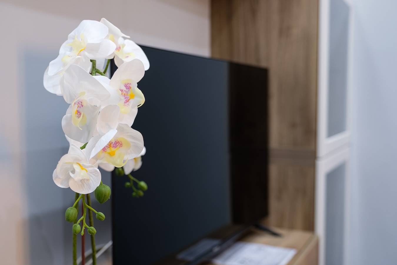 Entire apartment, Apartment "A Due Passi dal Mare" with Mountain View, Balcony & Wi-Fi in Chianchitta-Pallio, Giardini-Naxos