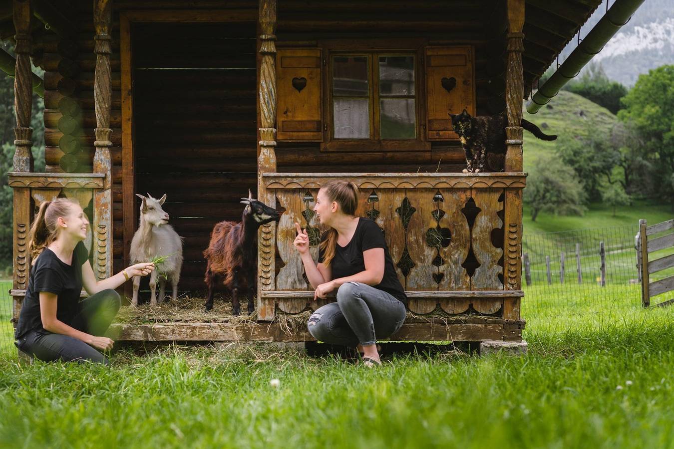 Ganze Ferienwohnung, Glitschnerhof in Aigen im Ennstal, Ennstal