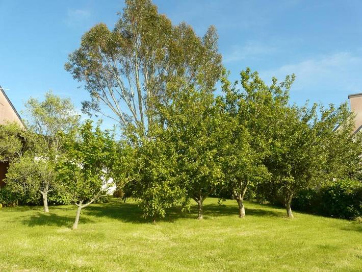 Location de vacances pour 8 personnes, avec vue ainsi que jardin et piscine à Saint-Jean-du-Doigt - 2