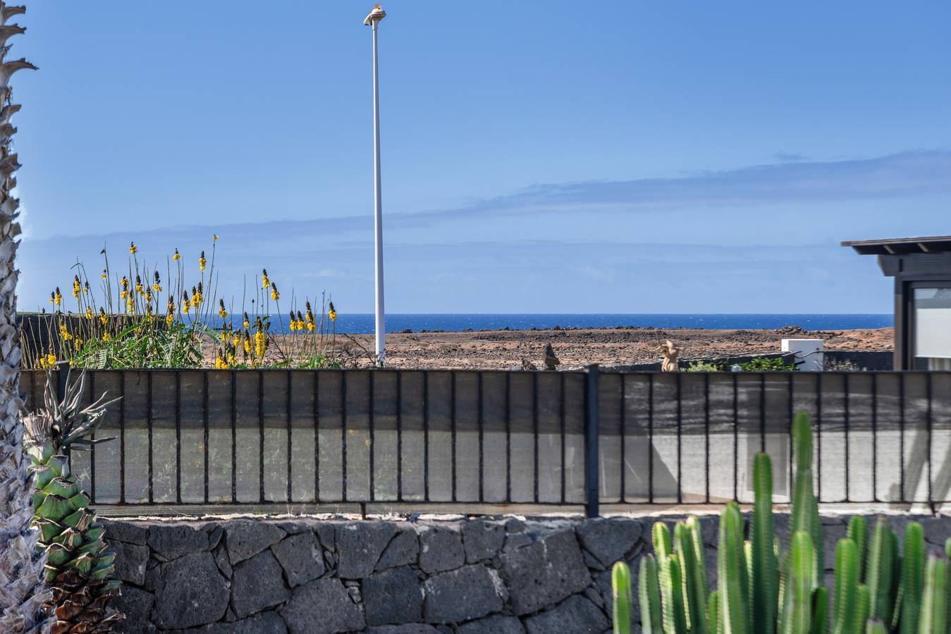 Maison de vacances "Villa Tania" avec vue sur la mer piscine, jardin, terrasses et Wi-Fi. in Montaña Roja, Yaiza