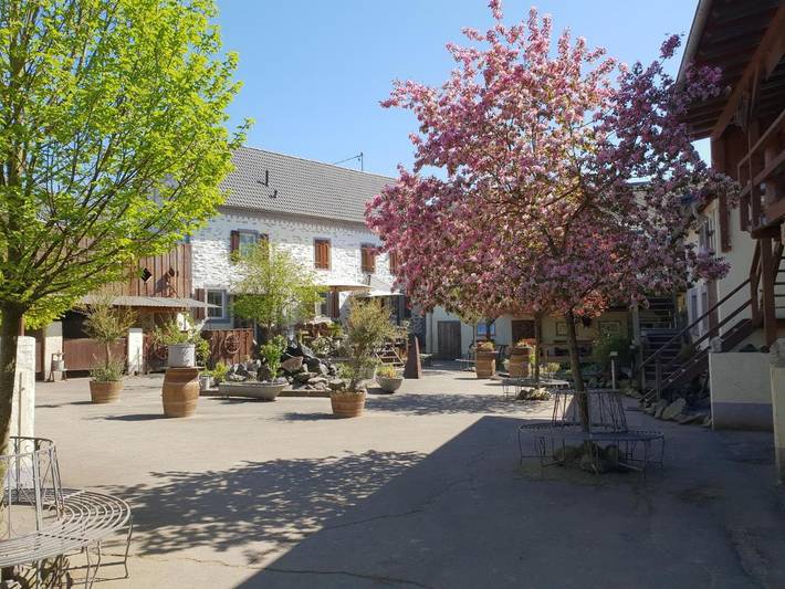Ferienwohnung für 6 Personen, mit Terrasse und Ausblick sowie Sauna, mit Haustier - 1