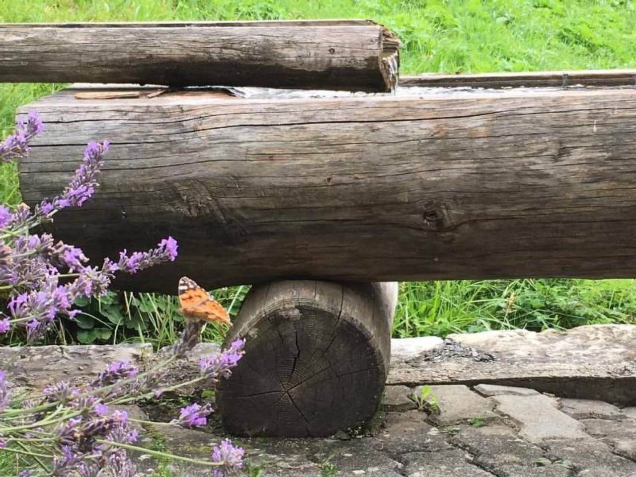 Entire apartment, Chalet Bachsbort 14 in Grindelwald, Grindelwald region