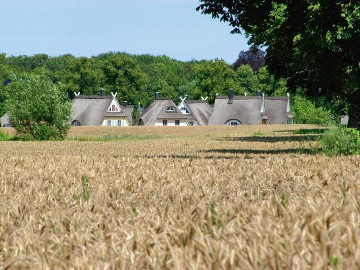 Ferienhaus für 10 Personen, mit Whirlpool und Terrasse sowie Garten und Pool in Kalkhorst - 2