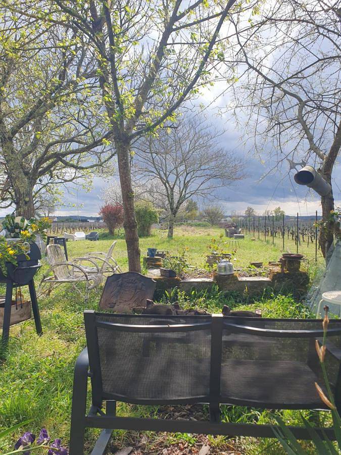 Gîte pour 12 personnes, avec vue et jardin, animaux acceptés à Saint-Sulpice-de-Faleyrens - 2