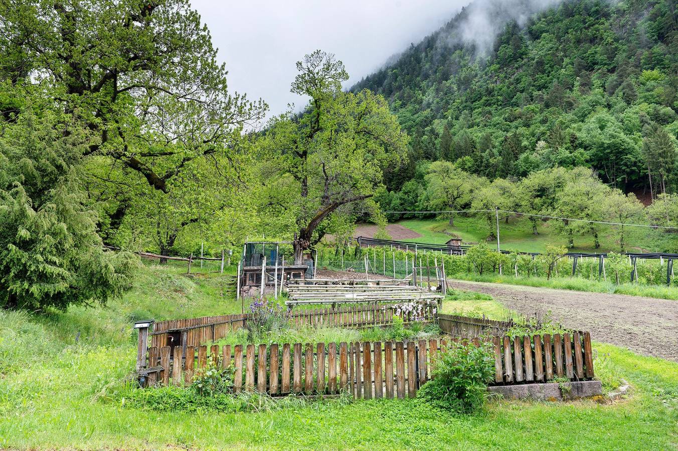 Entire apartment, Apartment 'Sonnblick' with Mountain View, Shared Garden and Wi-Fi in Leifers, Val d’Ega