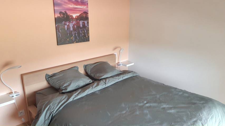 Maison de vacances pour 9 personnes, avec terrasse et jardin, animaux acceptés dans le Jura - 4