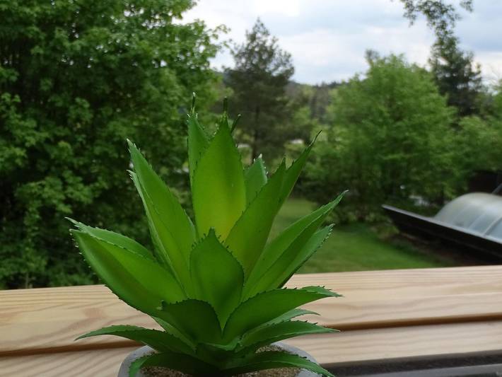 Ferienwohnung für 4 Personen, mit Terrasse, mit Haustier in Oybin - 4