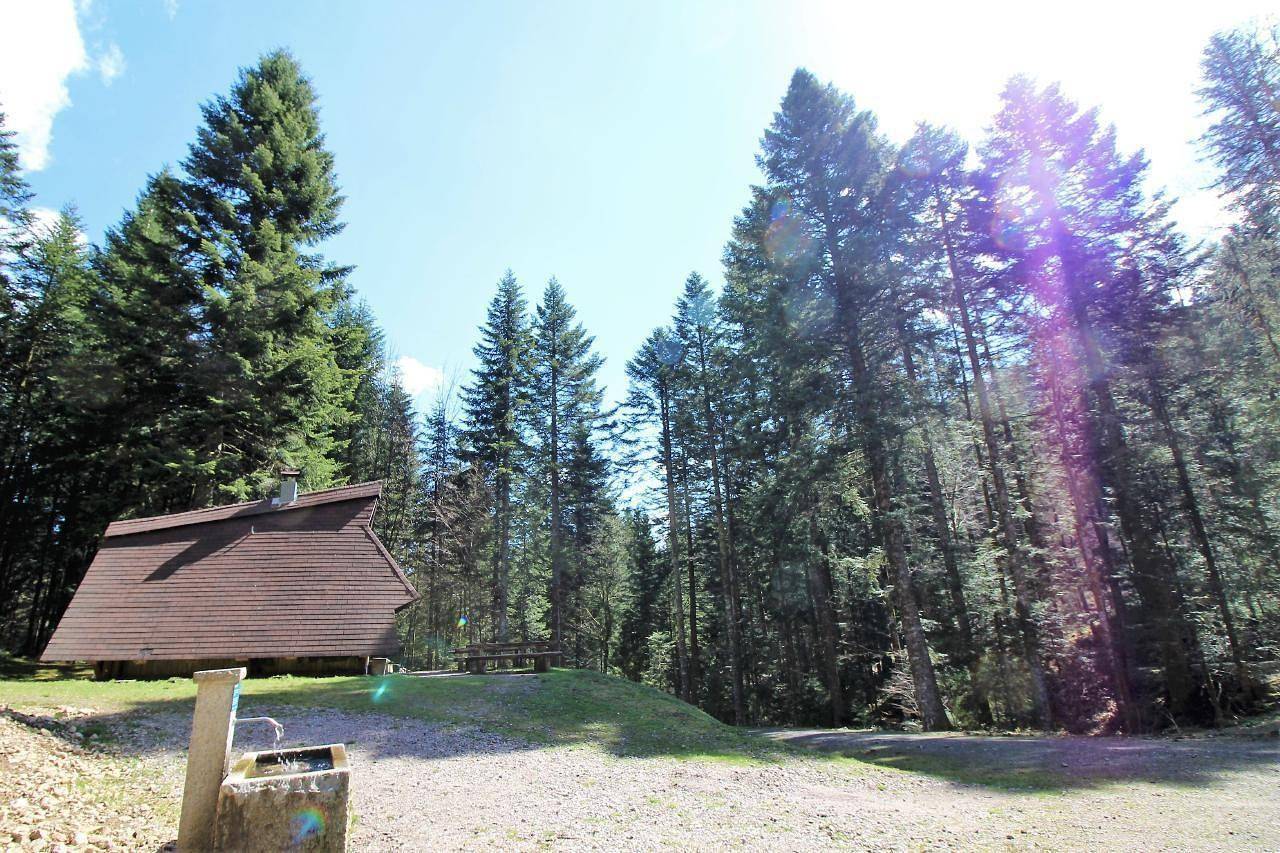 Appartement de vacances entier, Your cosy oasis in the heart of the Black Forest in Todtmoos, Forêt-Noire du Sud