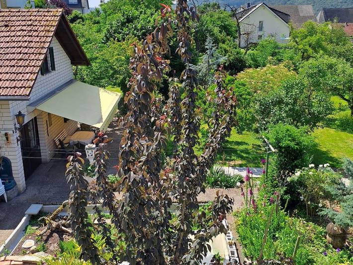 Ferienhaus für 4 Personen, mit Garten und Terrasse, kinderfreundlich in Saarburg und Umgebung - 4