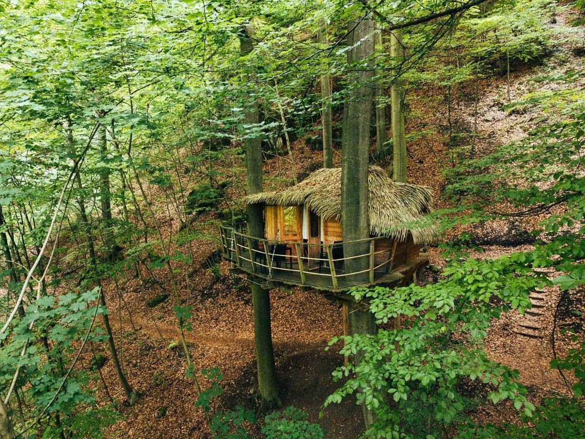 Treehouse Trenčianske Teplice in Kraj trenczyński