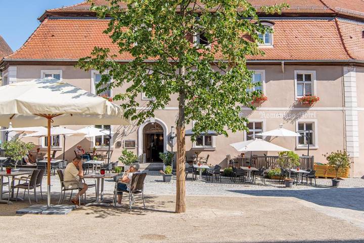 Hôtel pour 3 personnes, avec piscine et terrasse ainsi que sauna et vue, animaux acceptés dans Dinkelsbuhl - 4