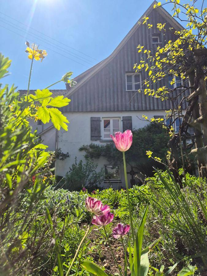 Ferienhaus für 8 Personen, mit Terrasse und Garten in Sonnenbühl