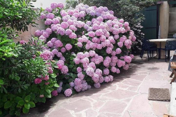 Gîte pour 5 personnes, avec terrasse et jardin dans Plage du Port-Vieux