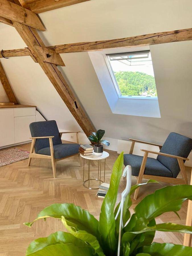 Gîte pour 2 personnes, avec vue dans Office de Tourisme de la Vallee de Munster - 4