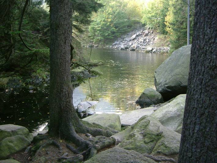 Ferienpark für 5 Personen, mit Balkon, kinderfreundlich im Harz - 4