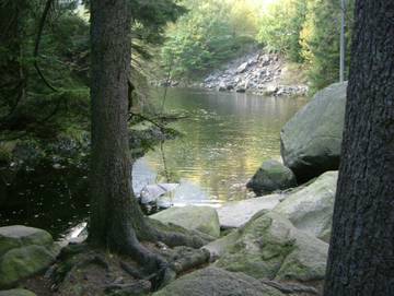 Ferienpark für 5 Personen in Altenau, Oberharz, Bild 3