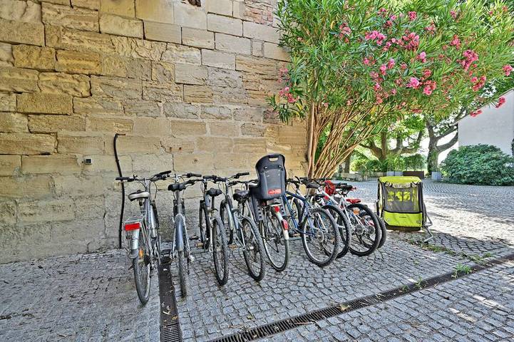 Superb Maison de Maître in der Provence mit Schwimmbad Xxl Last Available 28 / 7-3 / 8 in Beaucaire, Nimes und Umgebung