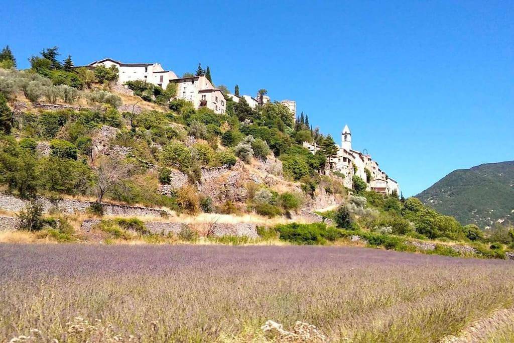 Provence ventoux sault in Sault, Parc naturel régional du Mont-Ventoux
