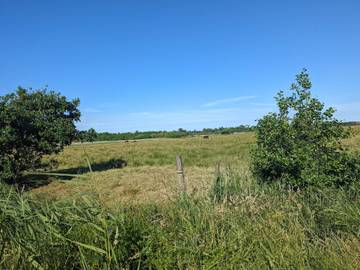 Ferieudlejning til 6 Personer i Blåvand, Vesterhavet, Billede 4