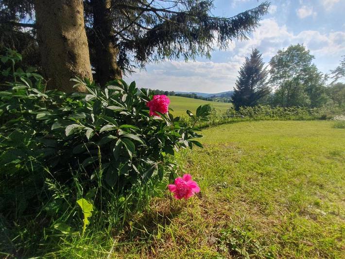 Ferienhaus für 5 Personen, mit Terrasse und Garten sowie Sauna und Ausblick in Goldlauter - Heidersbach - 2