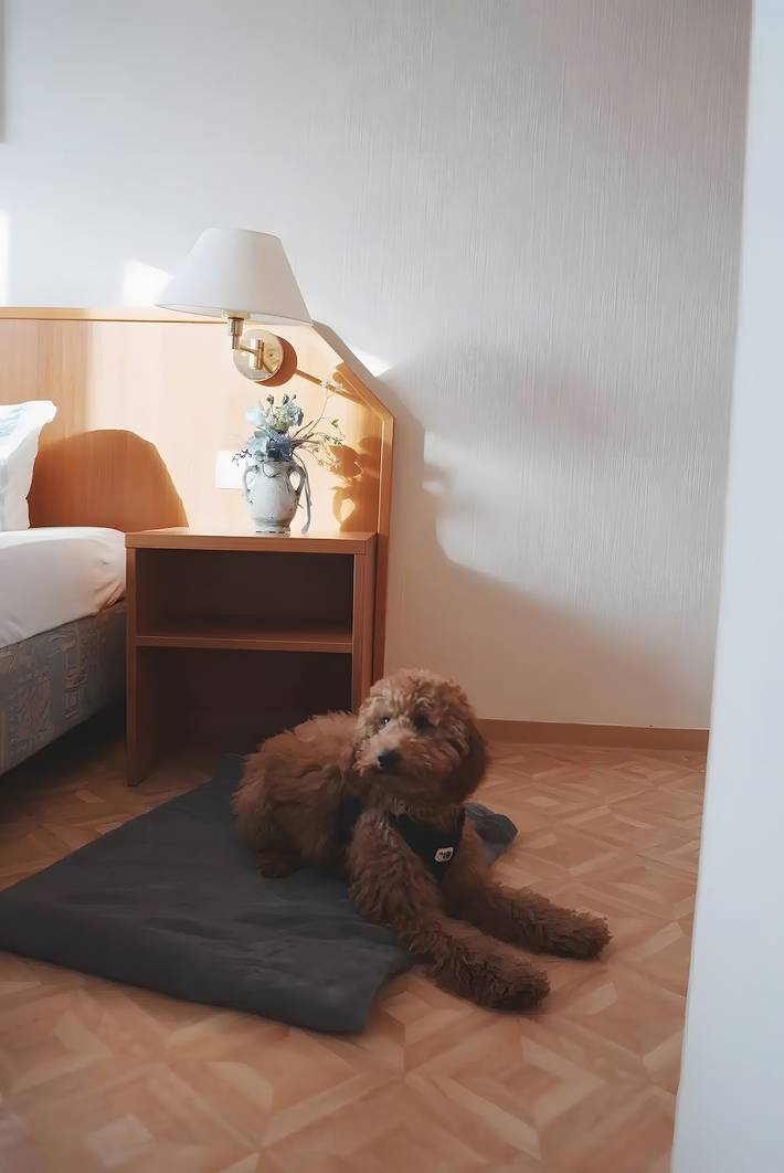 Ferienwohnung für 2 Personen, mit Haustier in Neßmersiel