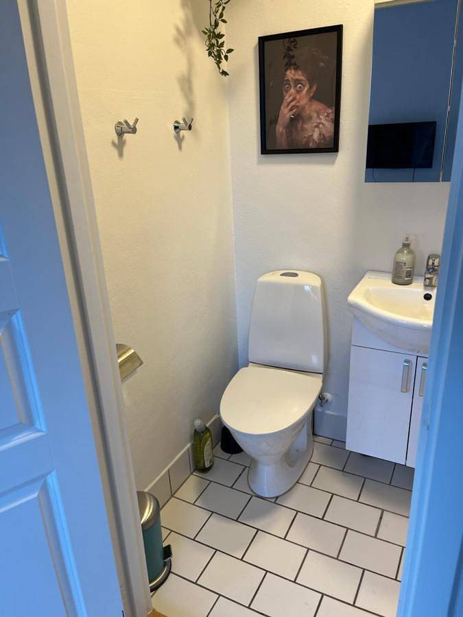 Gîte pour 4 personnes, avec jardin et vue à Billund - 3