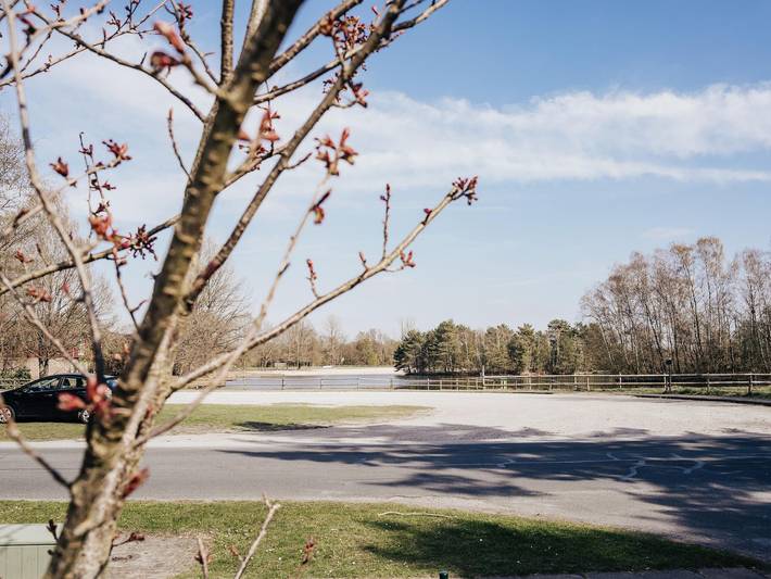 Ferienhaus für 4 Personen, mit Seeblick und Garten sowie Terrasse in der Lüneburger Heide - 3