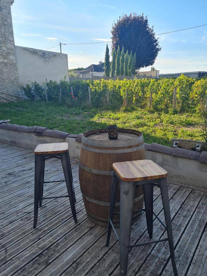 Location de vacances pour 5 personnes, avec vue et jardin, animaux acceptés dans Le Mesnil-sur-Oger - 2