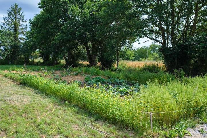 Gîte pour 4 personnes, avec terrasse ainsi que jardin et vue à Ducey - 3