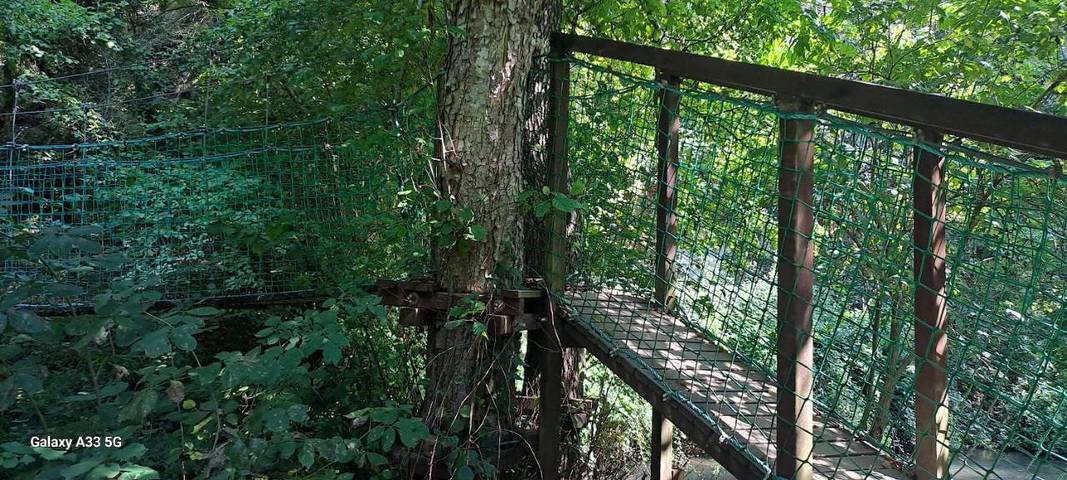 Location de vacances pour 2 personnes à Calcata - 2