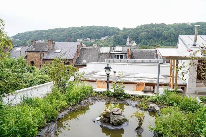 Location de vacances pour 12 personnes, avec jardin à Dinant - 3