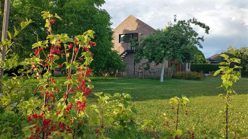 Location de vacances pour 2 personnes, avec jardin, adapté aux familles à Wanze - 3