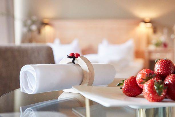 Hotel für 3 Personen, mit Terrasse und Sauna in St. Peter - 4