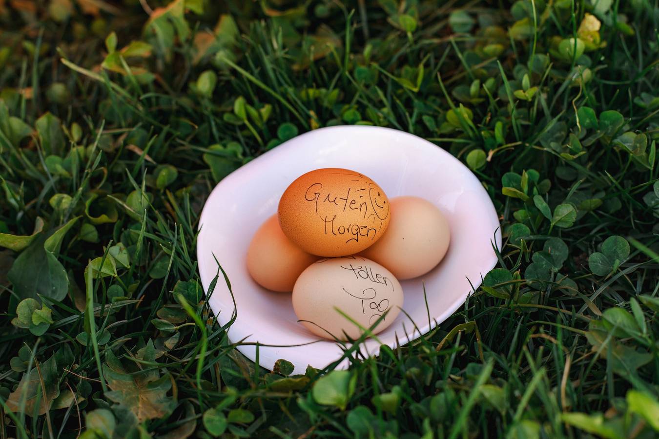 Affascinante Appartamento Kornkammer Lodge con Vista Montagna, Wi-Fi e Giardino; Parcheggio disponibile in Naturno, Gruppo Tessa