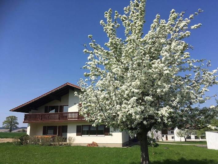 Ferienhaus in Pocking mit Schwimmbecken in Pocking, Bayerische Golf und Thermenland