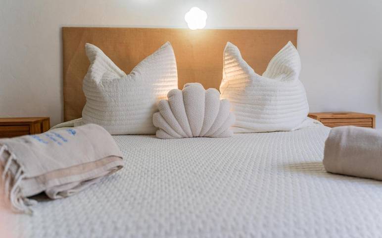 Chambre d’hôte pour 2 personnes, avec jardin ainsi que piscine et jacuzzi à Le Plan-de-la-Tour - 4