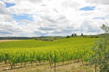 Villa per 8 Persone in Gaiole in Chianti, Chianti, Foto 4