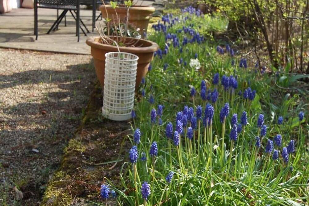 Landleben in Fritzlar, Schwalm-Eder-Kreis