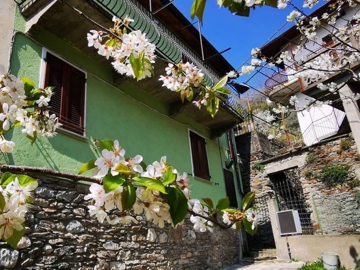 Ganze Wohnung, Green House in Santa Maria Rezzonico, Comune di San Siro