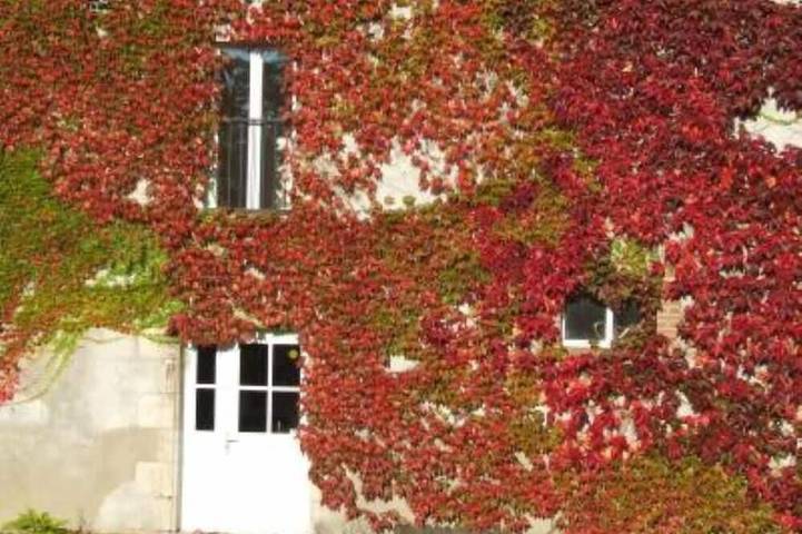 Location de vacances pour 8 personnes, avec terrasse et jardin à Ouzouer-sur-Trézée - 2