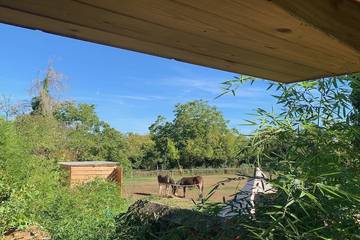 Gîte pour 3 personnes, animaux acceptés à Huriel