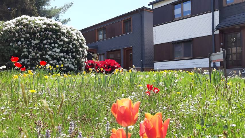 Ferienwohnung für 3 Personen, mit Garten