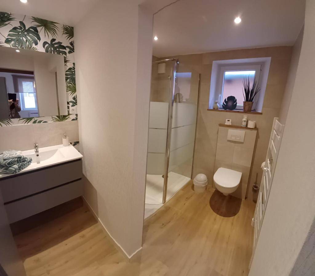 Double Room with Private Bathroom in Gumbrechtshoffen, Nord de l'Alsace